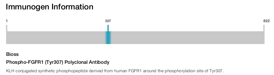 Phospho-FGFR1 (Tyr307) Polyclonal Antibody