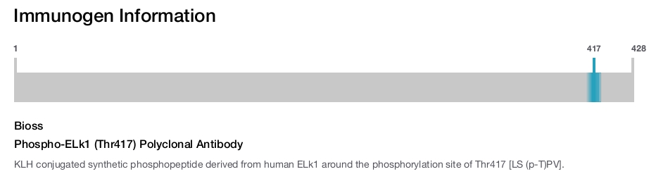 Phospho-ELk1 (Thr417) Polyclonal Antibody