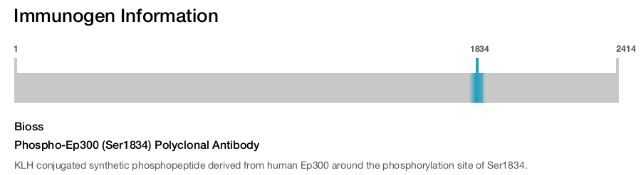 Phospho-Ep300 (Ser1834) Polyclonal Antibody