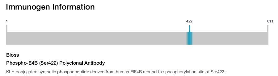 Phospho-E4B (Ser422) Polyclonal Antibody