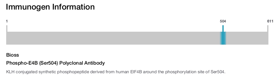 Phospho-E4B (Ser504) Polyclonal Antibody