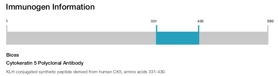 Cytokeratin 5 Polyclonal Antibody