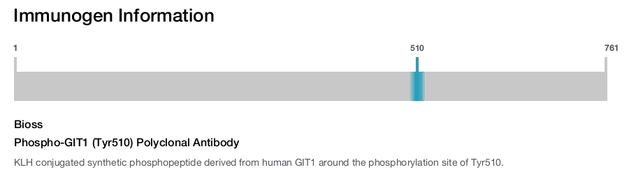 Phospho-GIT1 (Tyr510) Polyclonal Antibody