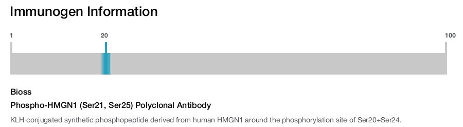 Phospho-HMGN1 (Ser21, Ser25) Polyclonal Antibody