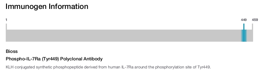 Phospho-IL-7Ra (Tyr449) Polyclonal Antibody