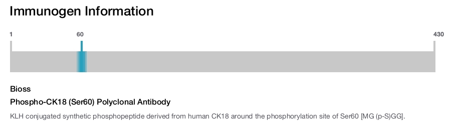 Phospho-CK18 (Ser60) Polyclonal Antibody