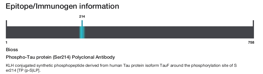 Phospho-Tau protein (Ser214) Polyclonal Antibody