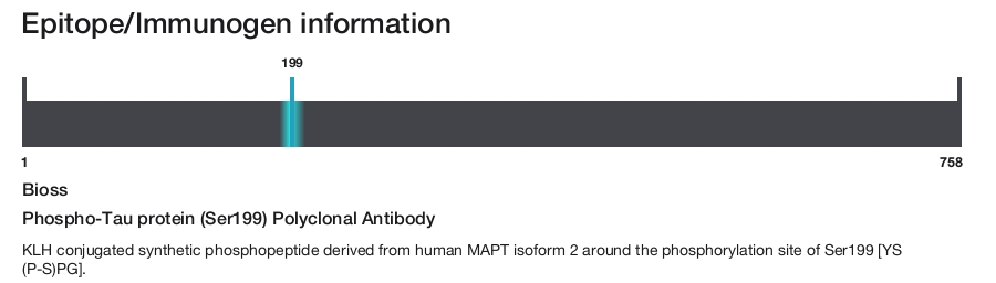 Phospho-Tau protein (Ser199) Polyclonal Antibody
