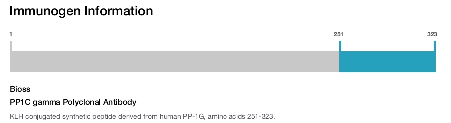 PP1C gamma Polyclonal Antibody