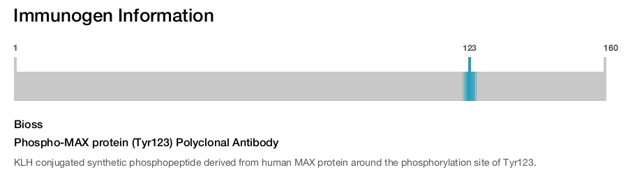 Phospho-MAX protein (Tyr123) Polyclonal Antibody
