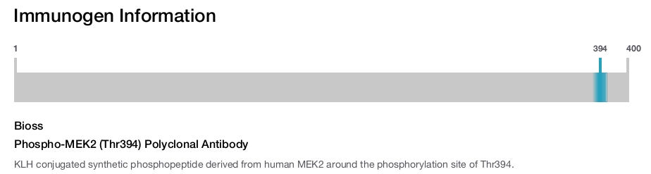 Phospho-MEK2 (Thr394) Polyclonal Antibody