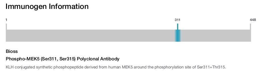 Phospho-MEK5 (Ser311, Ser315) Polyclonal Antibody