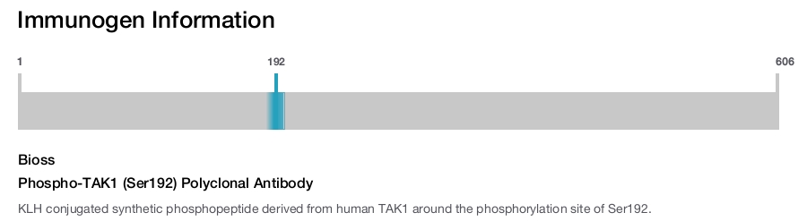 Phospho-TAK1 (Ser192) Polyclonal Antibody