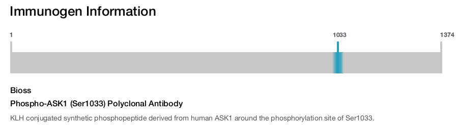Phospho-ASK1 (Ser1033) Polyclonal Antibody