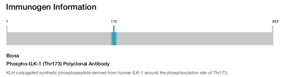 Phospho-ILK-1 (Thr173) Polyclonal Antibody