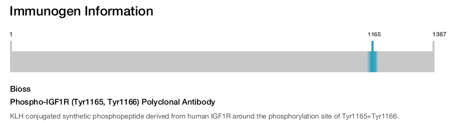 Phospho-IGF1R (Tyr1165, Tyr1166) Polyclonal Antibody