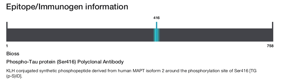 Phospho-Tau protein (Ser416) Polyclonal Antibody