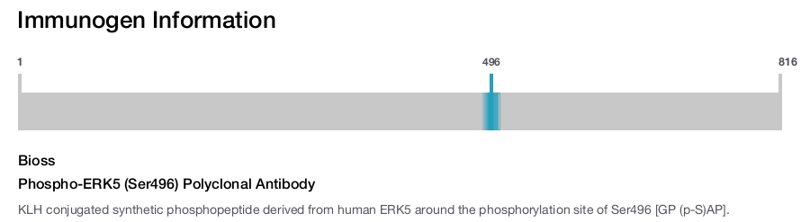 Phospho-ERK5 (Ser496) Polyclonal Antibody