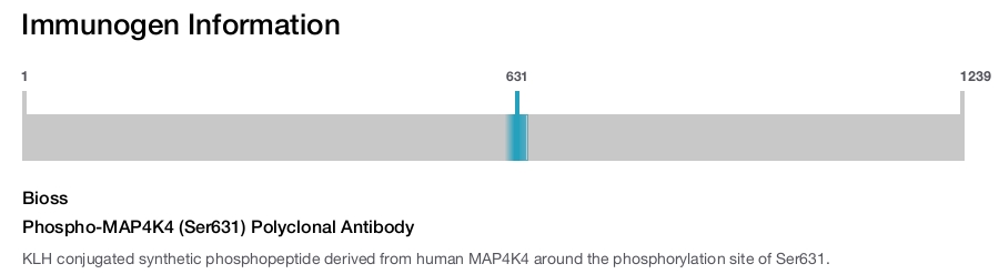 Phospho-MAP4K4 (Ser631) Polyclonal Antibody