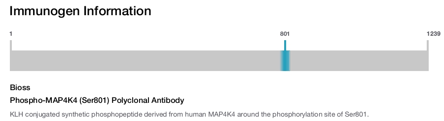 Phospho-MAP4K4 (Ser801) Polyclonal Antibody