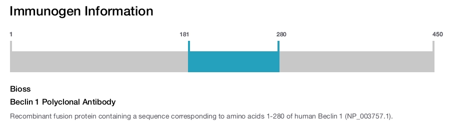 Beclin 1 Polyclonal Antibody