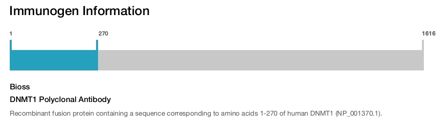 DNMT1 Polyclonal Antibody