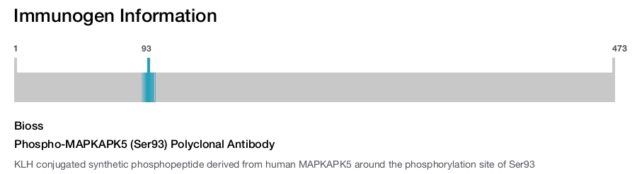 Phospho-MAPKAPK5 (Ser93) Polyclonal Antibody