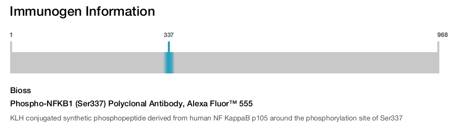 Phospho-NFKB1 (Ser337) Polyclonal Antibody, Alexa Fluor&trade; 555