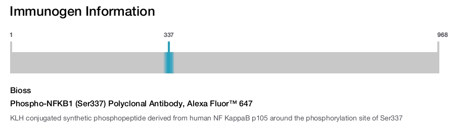 Phospho-NFKB1 (Ser337) Polyclonal Antibody, Alexa Fluor&trade; 647
