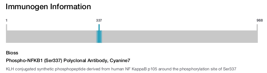 Phospho-NFKB1 (Ser337) Polyclonal Antibody, Cyanine7
