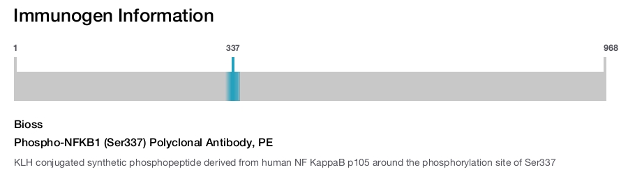 Phospho-NFKB1 (Ser337) Polyclonal Antibody, PE