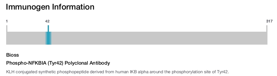 Phospho-NFKBIA (Tyr42) Polyclonal Antibody