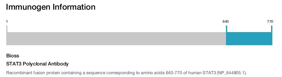 STAT3 Polyclonal Antibody