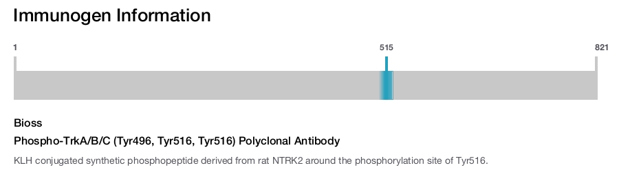 Phospho-TrkA/B/C (Tyr496, Tyr516, Tyr516) Polyclonal Antibody