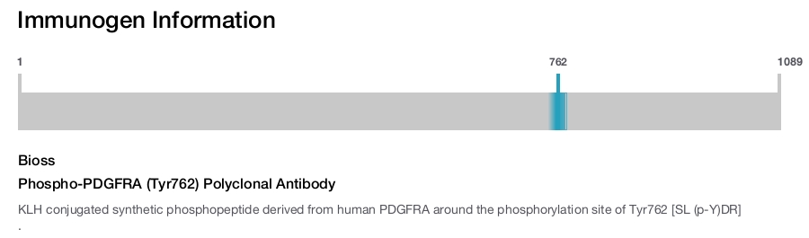 Phospho-PDGFRA (Tyr762) Polyclonal Antibody