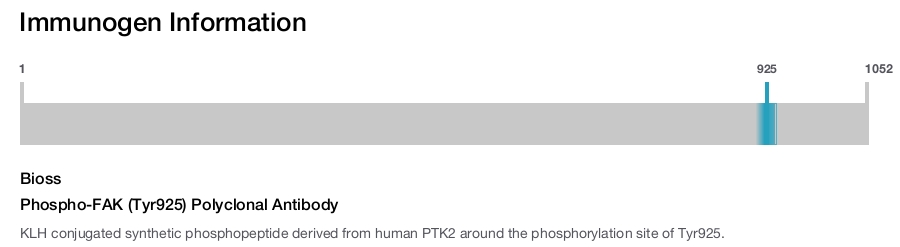 Phospho-FAK (Tyr925) Polyclonal Antibody
