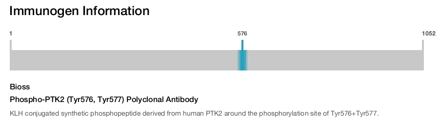 Phospho-PTK2 (Tyr576, Tyr577) Polyclonal Antibody