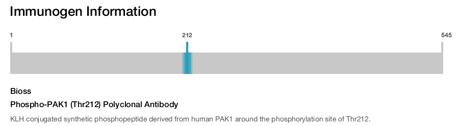 Phospho-PAK1 (Thr212) Polyclonal Antibody