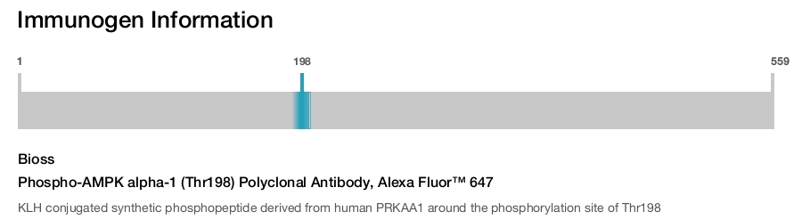 Phospho-AMPK alpha-1 (Thr198) Polyclonal Antibody, Alexa Fluor&trade; 647