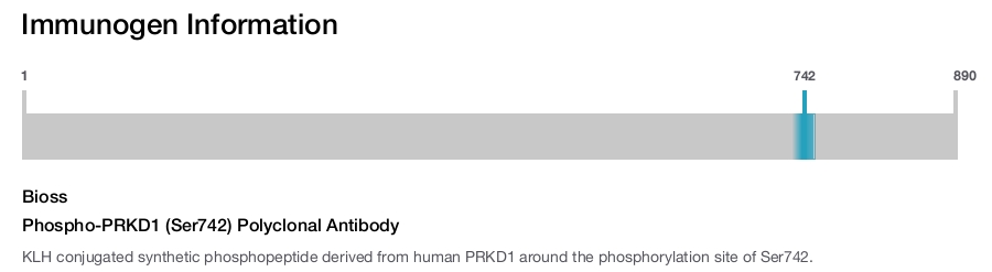 Phospho-PRKD1 (Ser742) Polyclonal Antibody