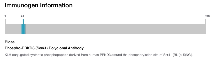 Phospho-PRKD3 (Ser41) Polyclonal Antibody