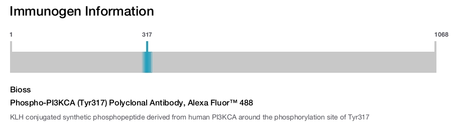 Phospho-PI3KCA (Tyr317) Polyclonal Antibody, Alexa Fluor&trade; 488