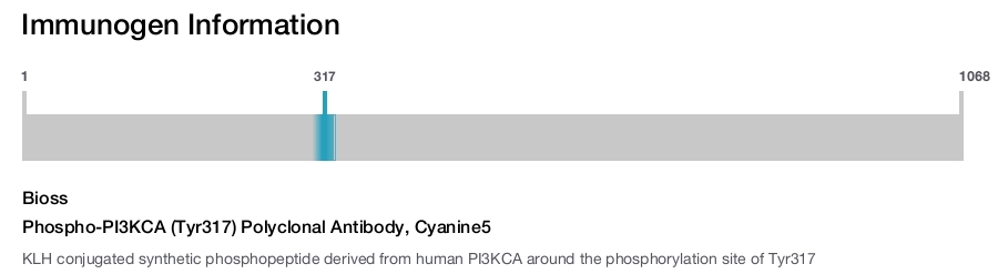 Phospho-PI3KCA (Tyr317) Polyclonal Antibody, Cyanine5