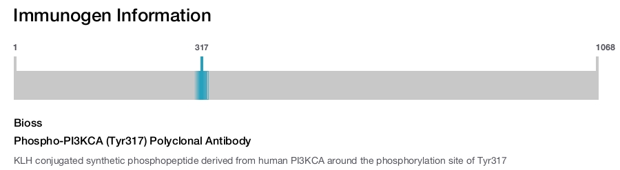 Phospho-PI3KCA (Tyr317) Polyclonal Antibody