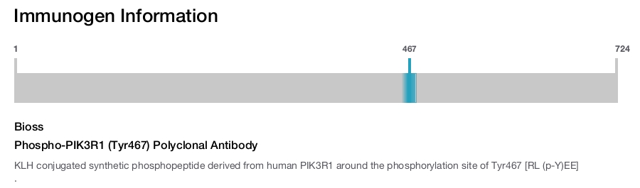 Phospho-PIK3R1 (Tyr467) Polyclonal Antibody