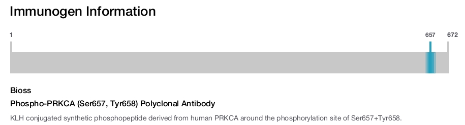 Phospho-PRKCA (Ser657, Tyr658) Polyclonal Antibody