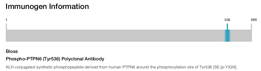 Phospho-PTPN6 (Tyr536) Polyclonal Antibody
