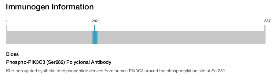 Phospho-PIK3C3 (Ser282) Polyclonal Antibody