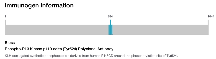 Phospho-PI 3 Kinase p110 delta (Tyr524) Polyclonal Antibody