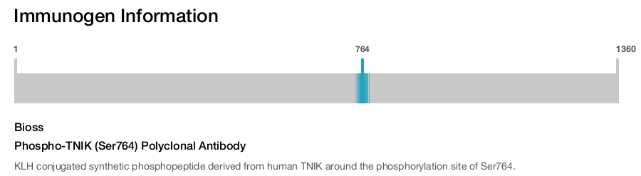 Phospho-TNIK (Ser764) Polyclonal Antibody